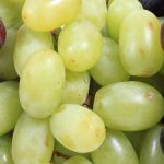 Quels sont les différents types de raisin ?