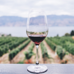 Pourquoi investir dans le vin en 2022 ?