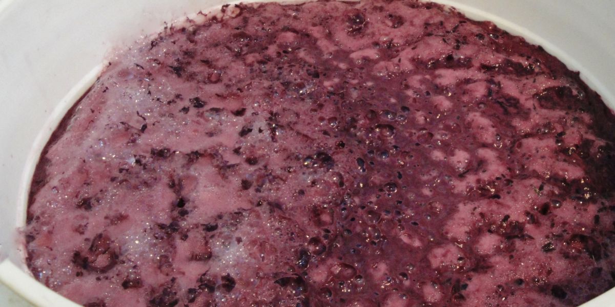 Comment se caractérise la fermentation alcoolique ?