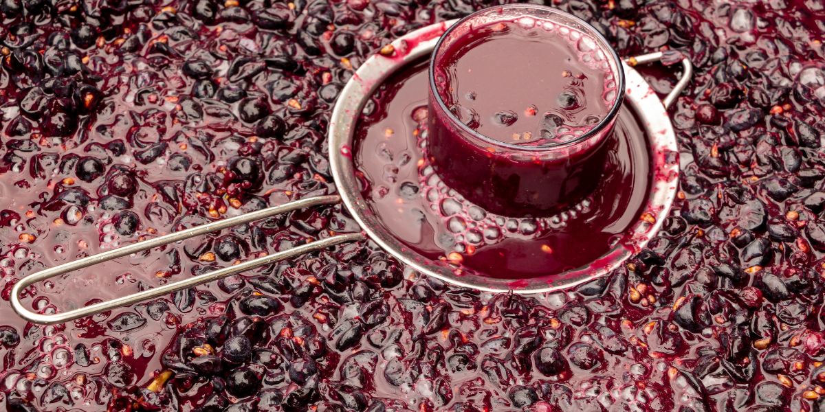 Comment faire du vin avec du jus de raisin ? - Fermentation Du Vin Rouge