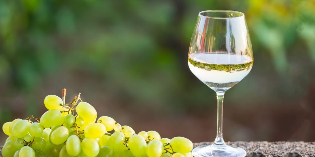Quel raisin pour faire du vin blanc ?