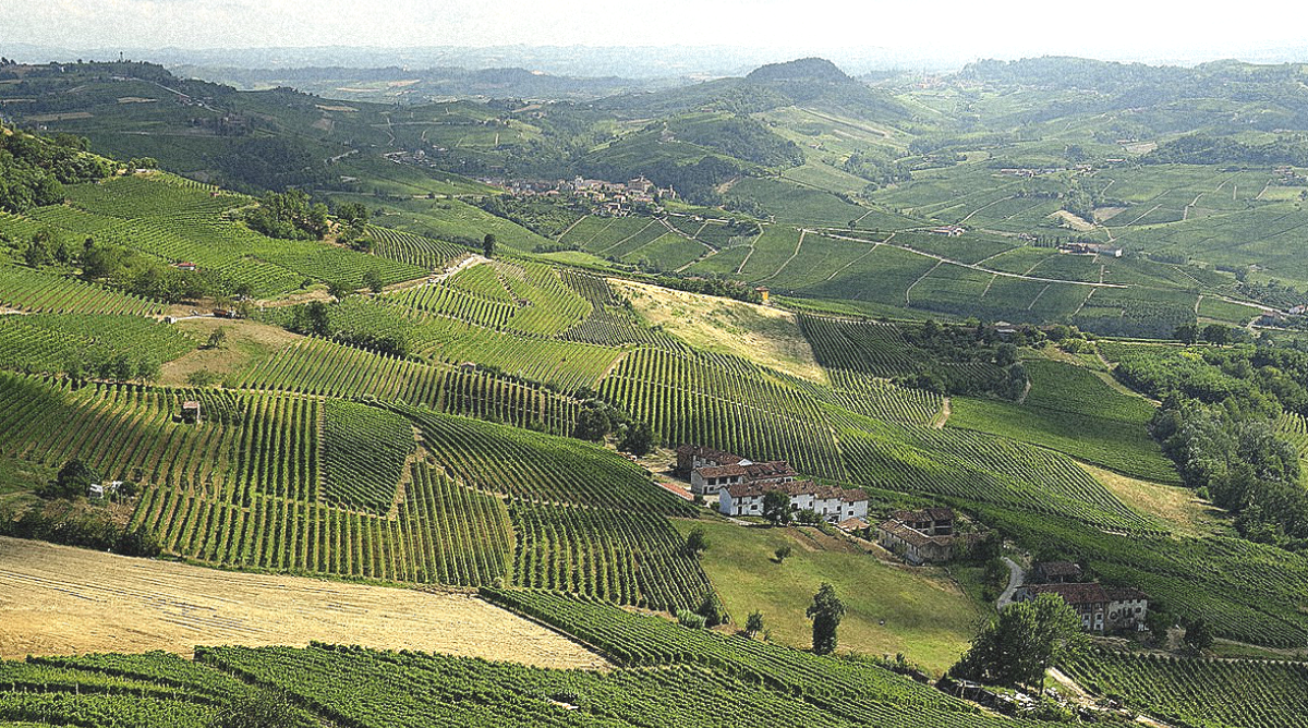 paysage de la morra langhe
