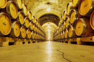 aerateur vin