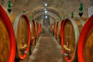 Les caves à vin 2 zones : le choix idéal pour conserver et servir vos vins