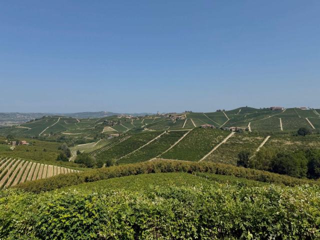 Découvrir le vin de Barbaresco : une histoire et une tradition Découvrir le vin de Barbaresco : une histoire et une tradition