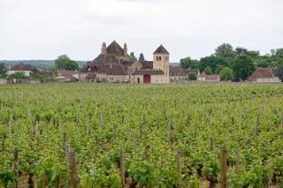 Le meilleur vin rouge français