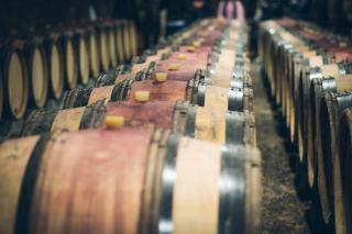 Les meilleurs vins rouges