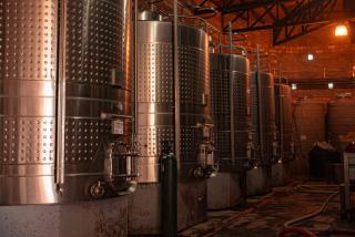 Les sulfites sont-ils présents dans tous les vins ?