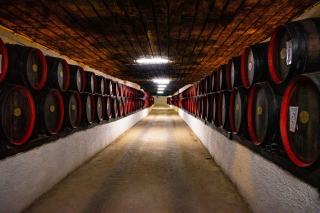 Les machines à vin au verre, une tendance en pleine croissance
