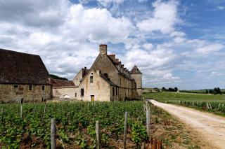 Pourquoi le vin coûte-t-il si cher ?