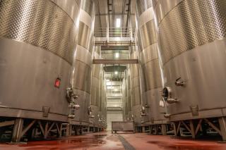 Quand la fermentation alcoolique se termine-t-elle ?