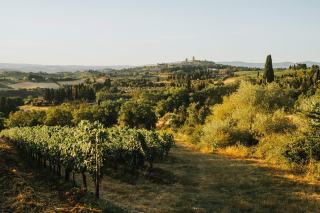 Que valent vraiment les vins rouges italien ?