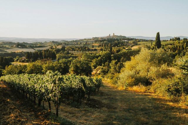 Que valent vraiment les vins rouges italiens ? Que valent vraiment les vins rouges italien ?
