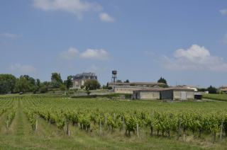 Quel est le meilleur vin rouge français ?