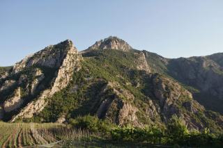 vin chine