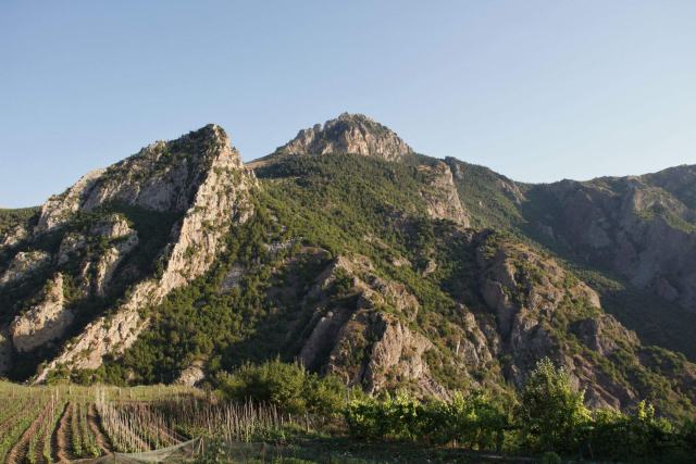 Les vins chinois : une histoire riche et diverse vin chine